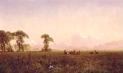 Albert Bierstadt Elk Grazing in the Wind River Country oil on canvas